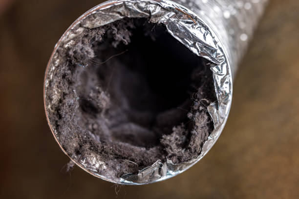 Best Home Air Vent Cleaning  in New London, WI